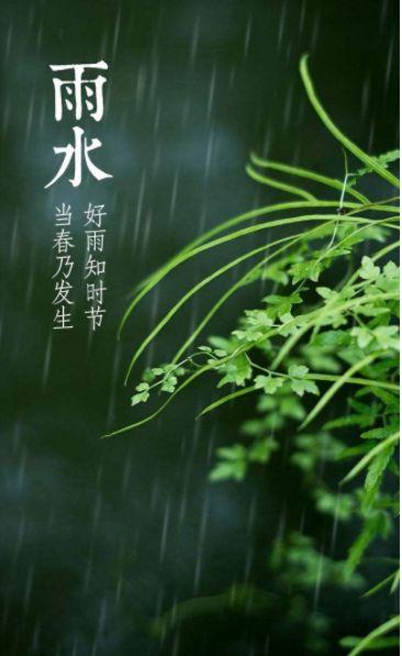 关于雨水节气的诗_关于雨水节气的诗句古诗  第10张