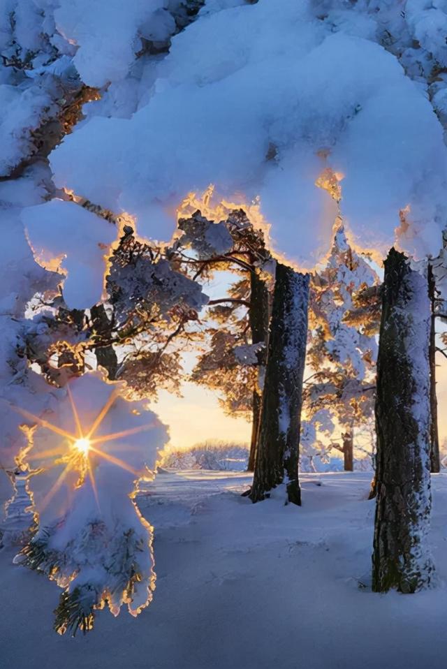 形容雪景美如画的诗句-形容冬天雪景美的诗句  第9张