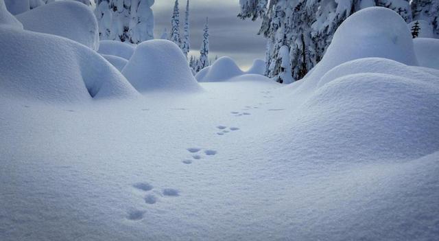 形容雪景美如画的诗句-形容冬天雪景美的诗句  第11张