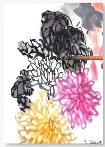 摘抄菊花的形状和样子_菊花的花瓣形状是什么样子的  第16张