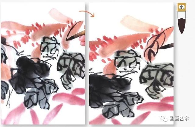 摘抄菊花的形状和样子_菊花的花瓣形状是什么样子的  第17张
