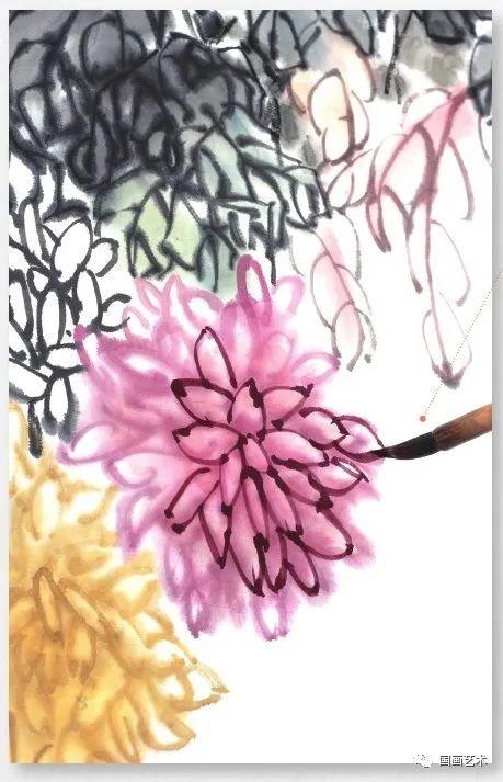 摘抄菊花的形状和样子_菊花的花瓣形状是什么样子的  第20张