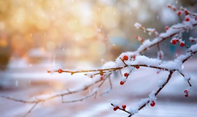 形容冬天的雪景非常美的诗句_冬天形容雪景优美的诗句  第2张