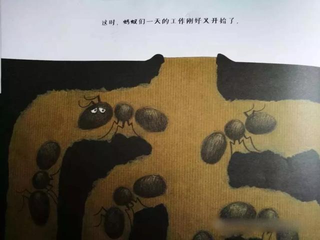 蚂蚁的日记绘本故事(蚂蚁的日记绘本图片)  第3张