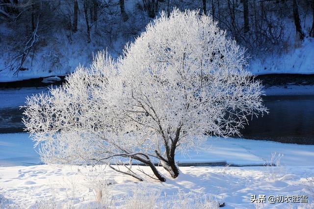 形容冬天景色美的诗句大全_形容冬天美丽景色的诗句  第1张