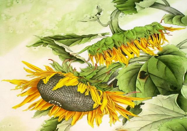 关于向日葵的诗句-关于向日葵的诗句有哪些  第5张