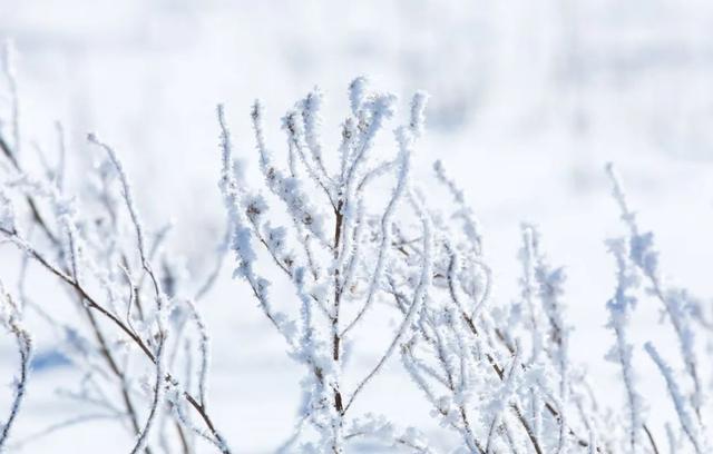 形容冬天的美丽景色-形容冬天的成语四字成语  第4张