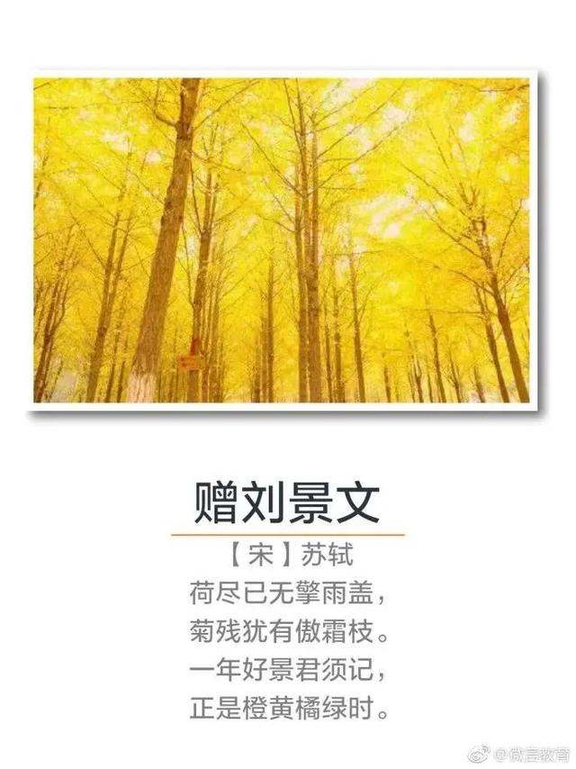 描写秋天的四字词语-太阳照着北京的字谜描写秋天的四字词语  第9张